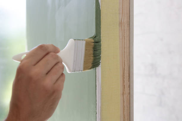 Professional Mold Removal in Talladega, AL