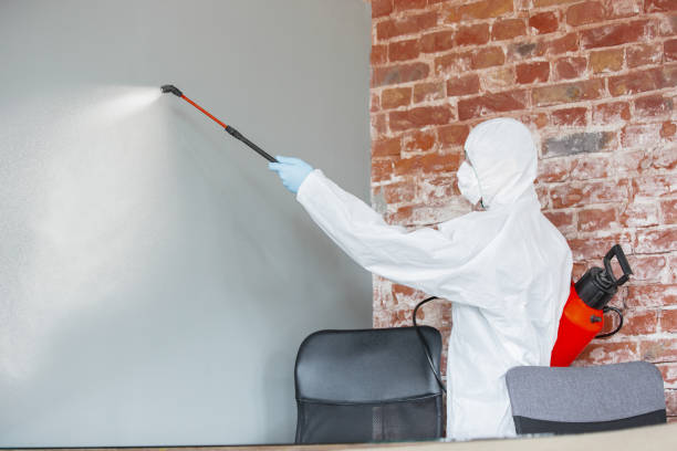 Best Crawl Space Mold Remediation  in Tladega, AL