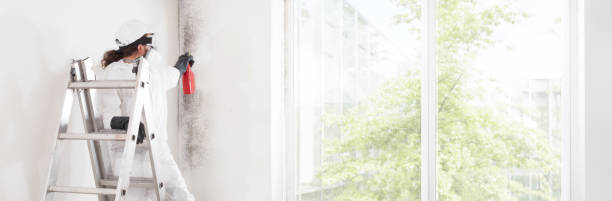 Best Water Damage & Mold Remediation  in Tladega, AL