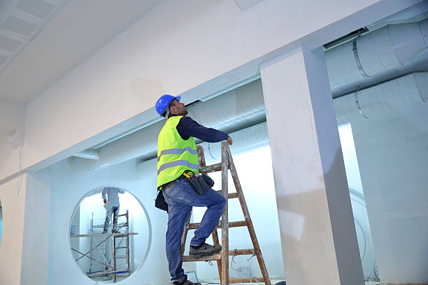 Mold Removal for HVAC Installations in Talladega, AL