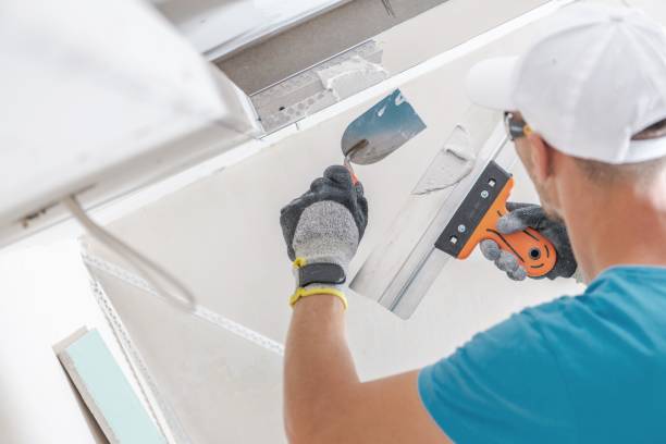 Best Mold Prevention Services  in Tladega, AL